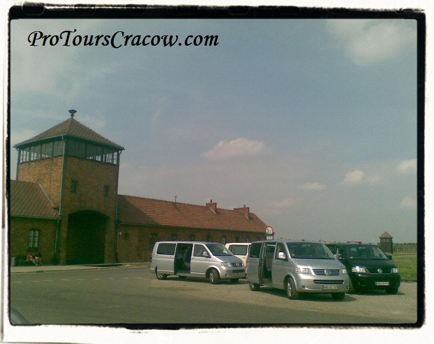 Auschwitz Trips